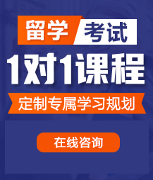 爆操的网站留学考试一对一精品课